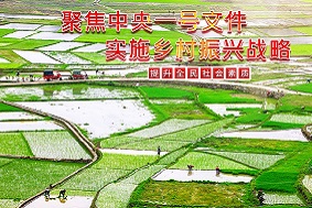 【政策解讀】農(nóng)業(yè)農(nóng)村部：加大對農(nóng)業(yè)產(chǎn)業(yè)化龍頭企業(yè)和聯(lián)合體的培育支持力度